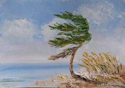 daily_painting_902_sea_breeze_acf65a267c441329be646b90f23e5c63